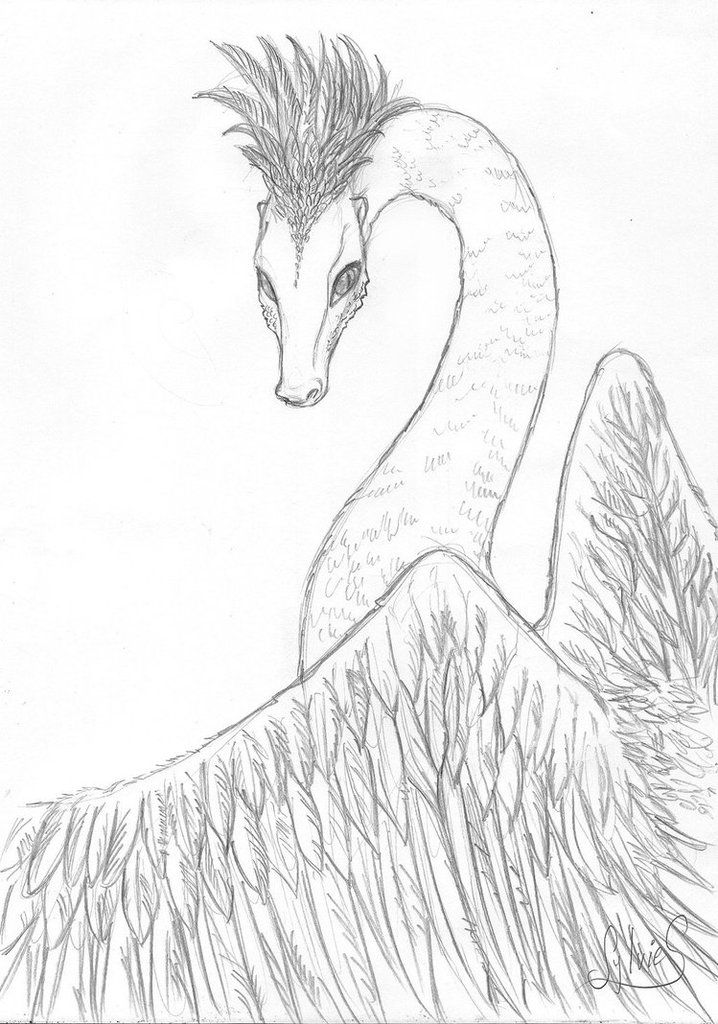 Croquis et dessins de dragons Ob_062048_dragon-by-luckytrefle-d9i3lyg