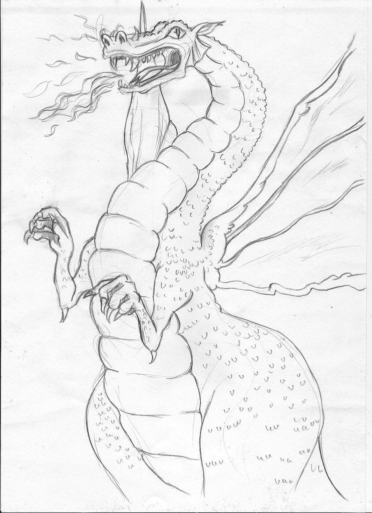 Croquis et dessins de dragons Ob_81a1e2_dragon-by-luckytrefle-da28x56