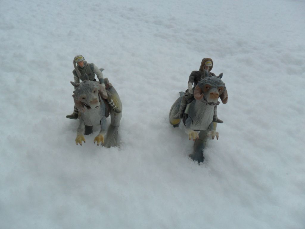 petit diorama avec la neige qui est tombé Ob_47b971_sam-0007