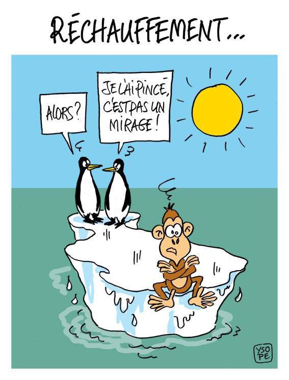 images humour  - Page 12 Ob_c67150_rechauffement-climatique-singe-ysope