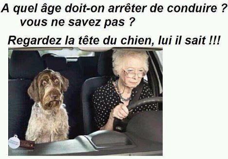 Humour en image du Forum Passion-Harley  ... - Page 13 Ob_12b435_la-vache-rose-humour-3