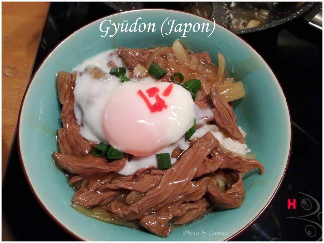 [Cuisine]Gyūdon Ob_c13274_gyudon-japon