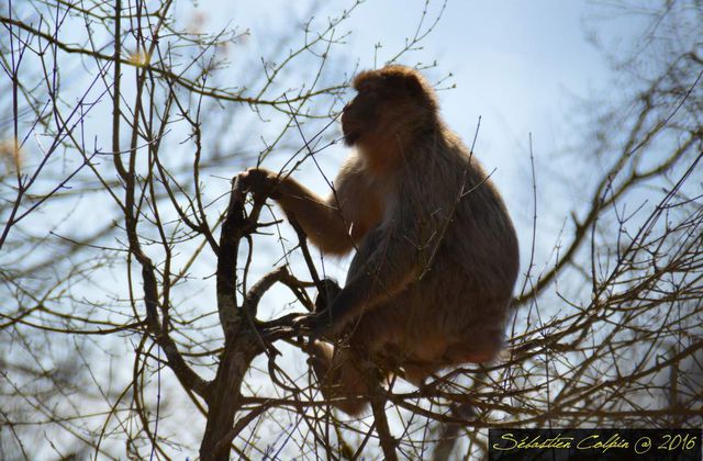 un lieu/ jovany 29/03/17 trouvé par Martine Ob_5914e8_dsc-0095-copier