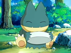 Petit Sondage Vos Pokemon Préférée jusqu'a la 4G May_Munchlax_eating