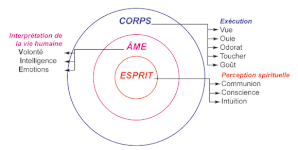                    CE QUE J'AI COMPRIS Esprit-ame-corps-1-