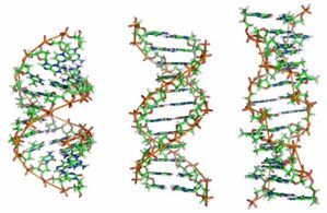 Le premier être vivant doté d’un ADN artificiel voit le jour Adn_0