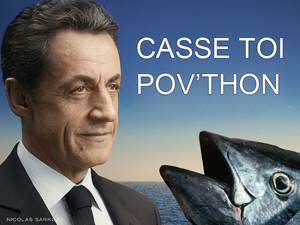 Le CV de Sarkozy, inattendu candidat à la présidentielle - Page 5 Sarkozy-casse-toi-pauvre-thon