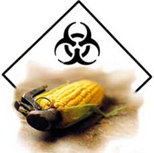 EEUU “recomendo” castigar a países opuestos a cutivos transgénicos Monsanto-toxic-1-