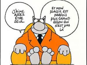  Le chat  Mieux-vaut-etre-seule-que-mal-accompagnee-je-confirme-65294