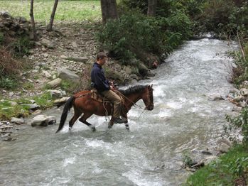 >> Jeu de la photo - Page 2 Cheval-dans-riviere