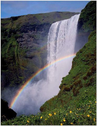 L'arc-en-ciel Rainbow17