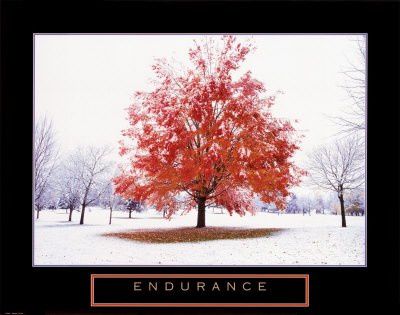 Allah est avec ceux qui endurent Endurance-Testing-Tool-Tree-Poster