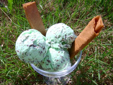 glace - Glace menthe chocolat - Page 3 Photo-251