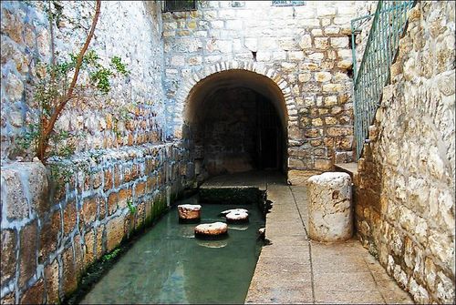 LE TEMPLE ET LA VILLE DU ROI DAVID A IR DAVID A JERUSALEM - Page 2 20-SORTIE-DU-CANAL-D-EZECHIAS-DANS-LA-PISCINE-DE-SILOE