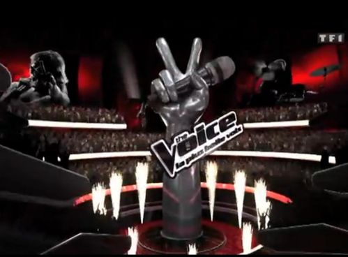 Emission du Samedi 25  février - Episode 1 - 20 h 50 - TF1  The-voice