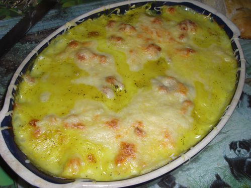 gratin de courgettes au thon C07-Juillet-20090367