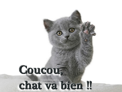 Dymo Coucou-chat-va-bien