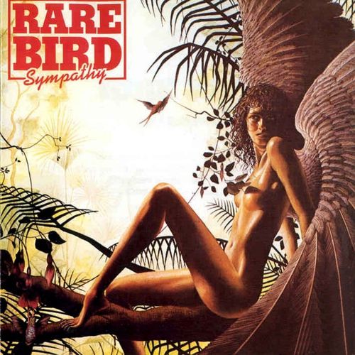 ¿Qué estáis escuchando ahora? - Página 13 Rare-Bird---Sympathy