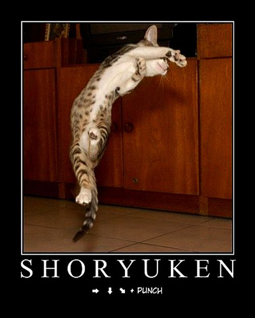 L'inscription de Shoryuken... Shoryuken