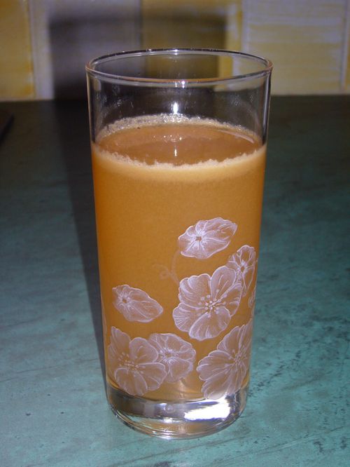 Jus de pommes à la centrifugeuse Mes-recettes-447