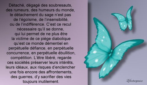 citation en images - Page 3 Zaeea