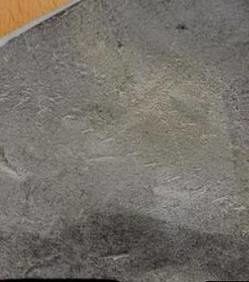 Un écolier découvre un échantillon fossile de dinosaure marin exceptionnel Ce-fossile-exceptionnel-et-rare-est-porteur-d-une-empreinte