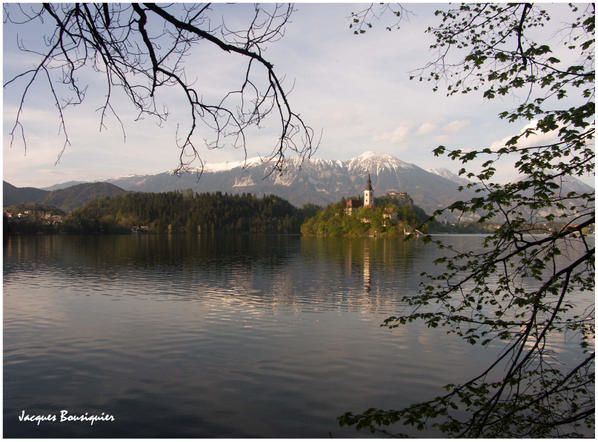 Lac de BLED BLED-4