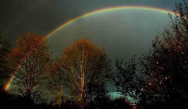 L'arc-en-ciel Rainbow7