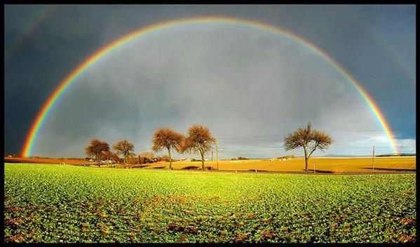 L'arc-en-ciel Rainbow15