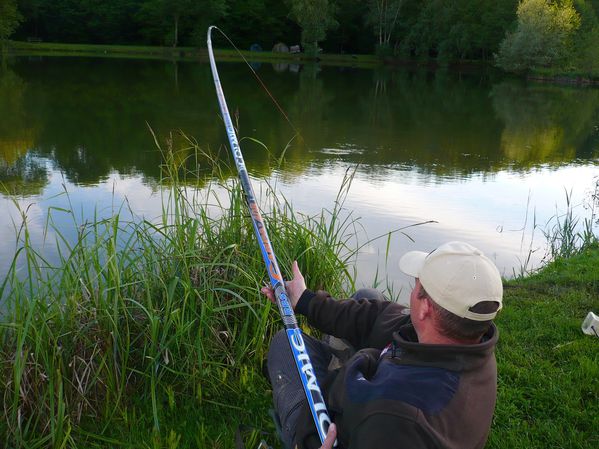 Quelques nouvelles carpes de chez moi !!!!! P1050444