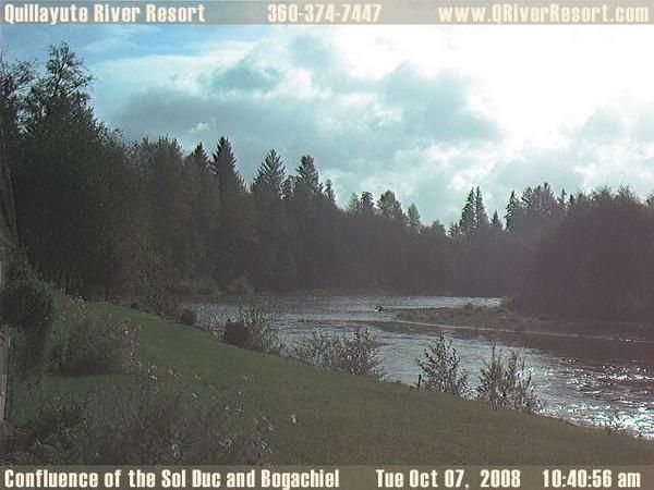 La frontière entre Les cullen et  les chi....* oups ^^ ' *  les Loup-Garous Netcam