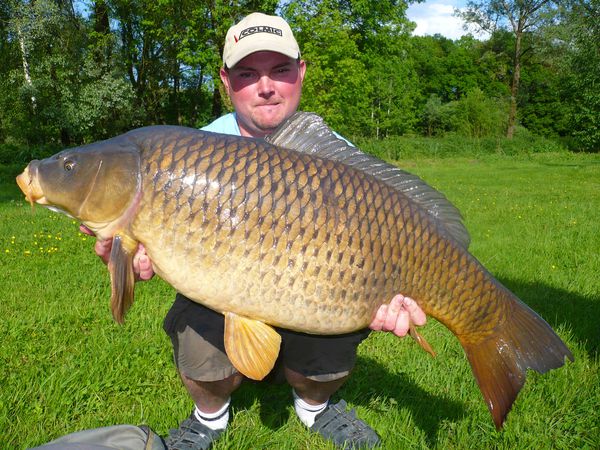 Quelques nouvelles carpes de chez moi !!!!! P1050472