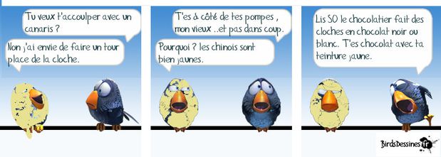 HUMOUR EN VRAC - Page 24 Moichoco