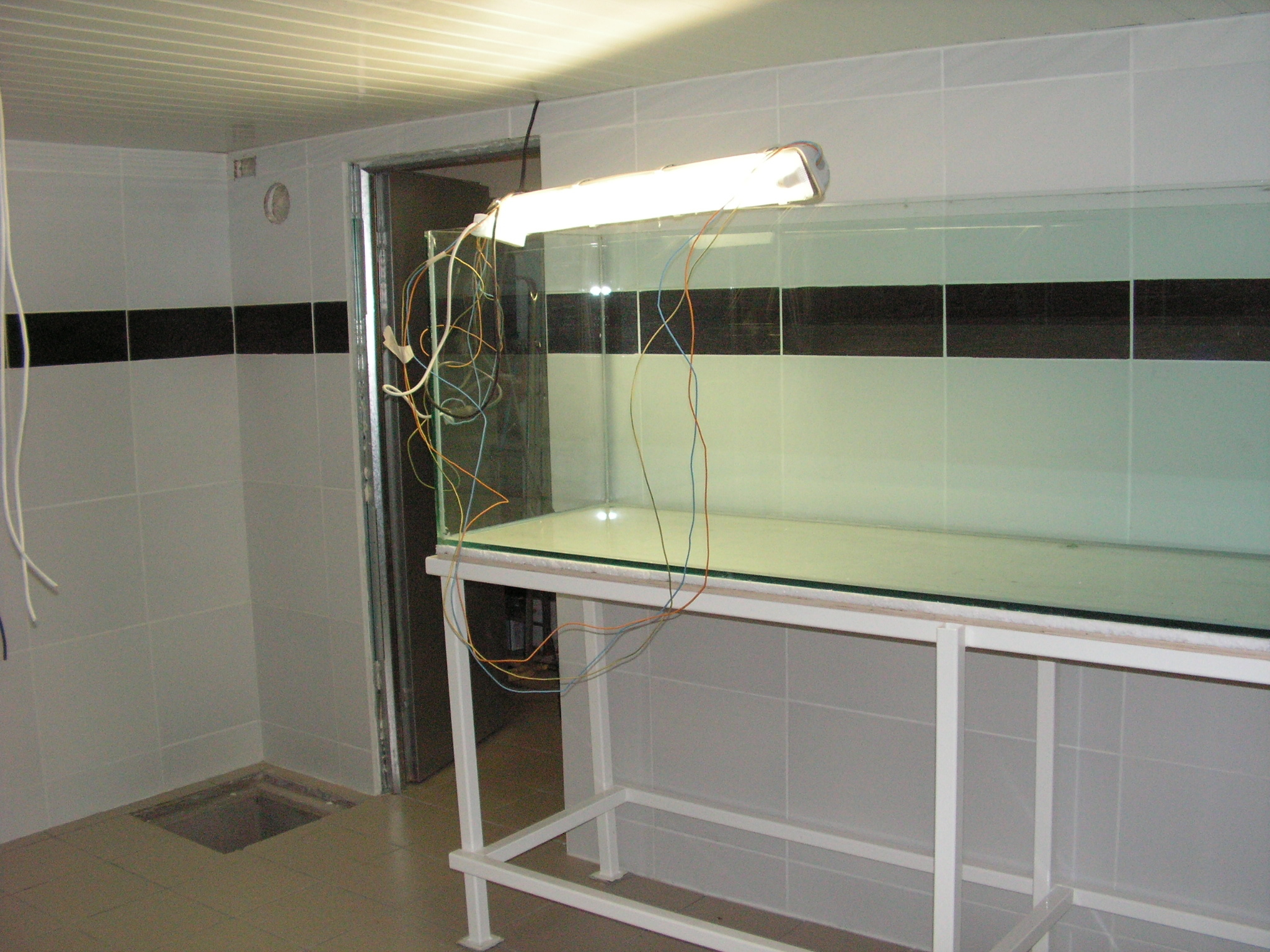 Construction Fishroom Yannick PICT0393