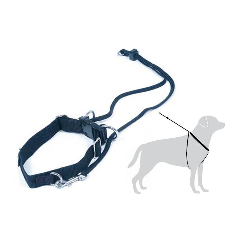 harnais - Le harnais "no-pull" de Horgan  Harnais-de-marche-chien-martin-sellier-z-386-38662