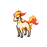 Poké Fair Ponyta