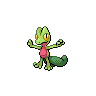 The pokemon you have to choose from Treecko