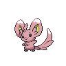 Anecdotas shiny - Página 2 Minccino