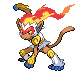 Team BMV   Infernape