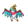 Kick & Kill Hawlucha