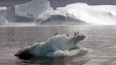 LE CLIMAT TERRESTRE SE RÉCHAUFFE... AFP_081107arctique-glace_4