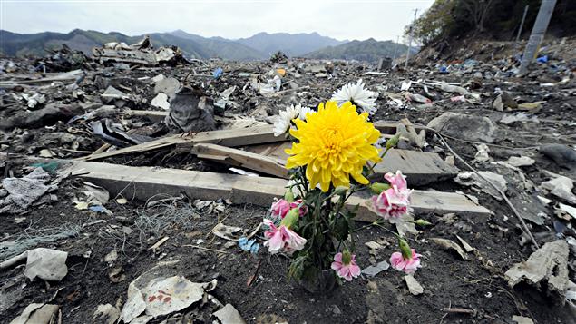 Les Séismes et Inondations/ Pertes de 366 milliards $US en 2011 AFP_110510_05e96_fleur-japon-otsuchi_sn635