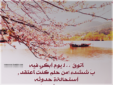  بعــــــــــــــــــض العبارات المصورة 406594