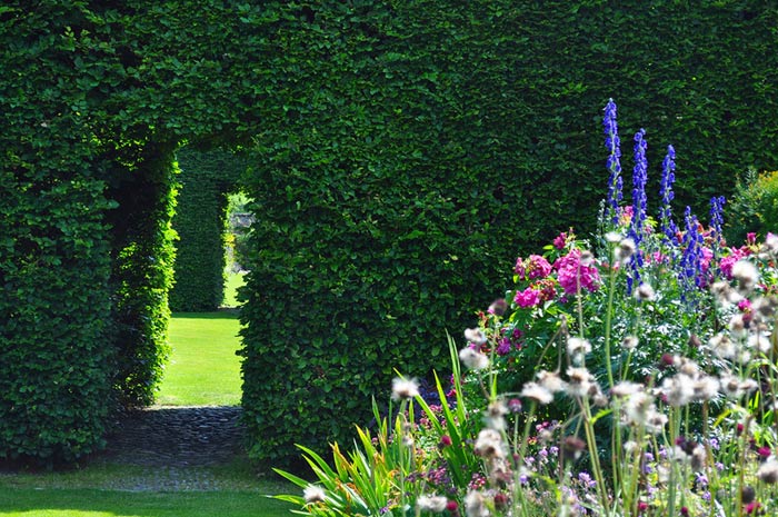أكثر حديقة رومانسيية في انكلترا 424163