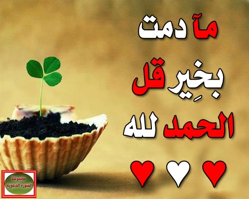 صور اسلامية دينة رائعة.متجدد 813067