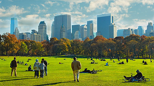 Поляните Ny_central_park