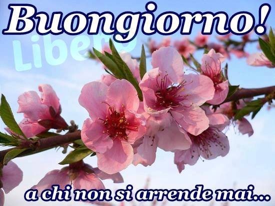 BUONGIORNO FORUM!!!!  Saluti lampo - Pagina 2 Buongiorno_060