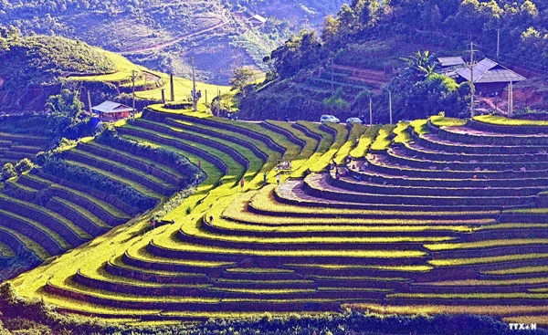 Ruộng bậc thang ở Sapa vào top 30 điểm đến đẹp nhất thế giới 5_2