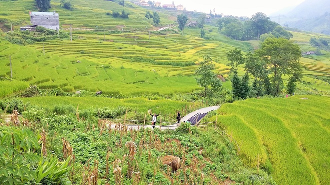 Ngắm vẻ đẹp bồng lai tiên cảnh của Sa Pa những ngày tháng 9 17