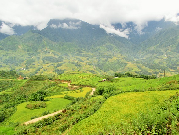 Ngắm vẻ đẹp bồng lai tiên cảnh của Sa Pa những ngày tháng 9 6_2